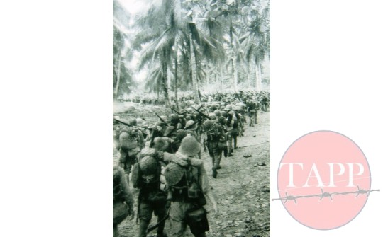 Photographs for the 41st Regiment IJA p.64 67 | Adam Park 